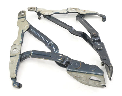 Trunk Hinges 99-05 VW Jetta MK4 Passat B5.5 Audi A4 B5 Blue OEM - 3B5 827 301 A