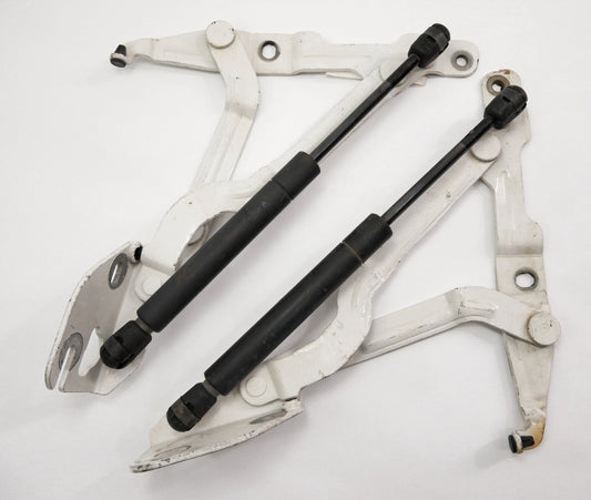 Trunk Hinges 99-05 VW Jetta MK4 Passat B5.5 Audi A4 B5 White OEM - 3B5 827 301