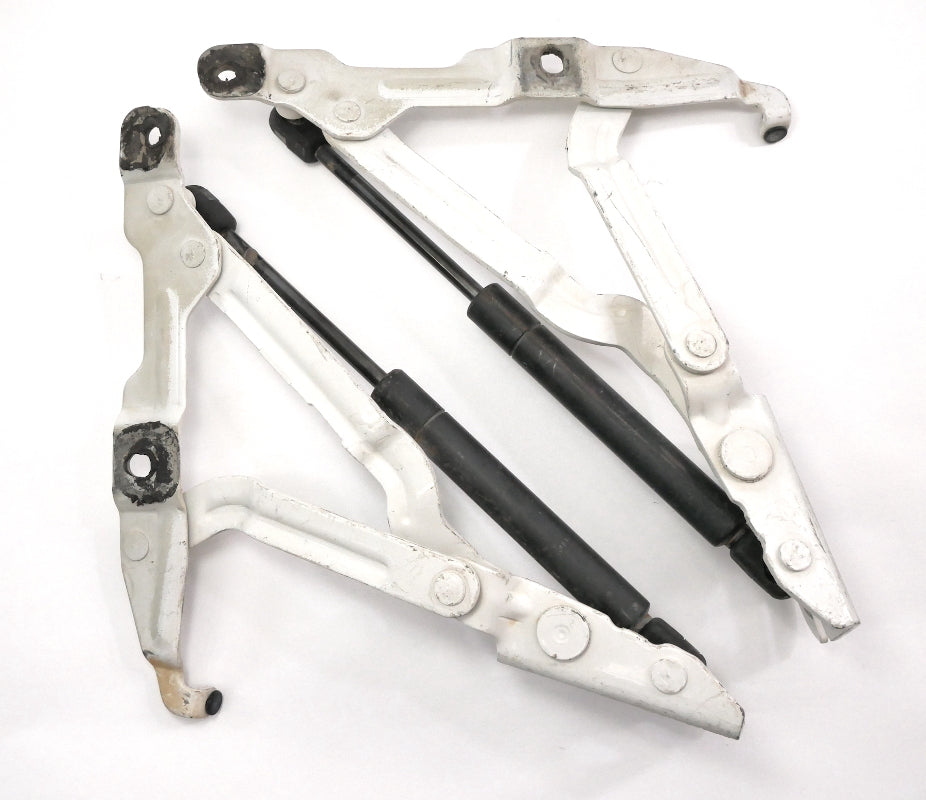 Trunk Hinges 99-05 VW Jetta MK4 Passat B5.5 Audi A4 B5 White OEM - 3B5 827 301