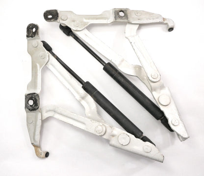 Trunk Hinges 99-05 VW Jetta MK4 Passat B5.5 Audi A4 B5 White OEM - 3B5 827 301