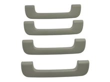 Upper Ceiling Headliner Grab Handle Set 00-02 Audi A6 Allroad C5 . 4B0 857 607 B